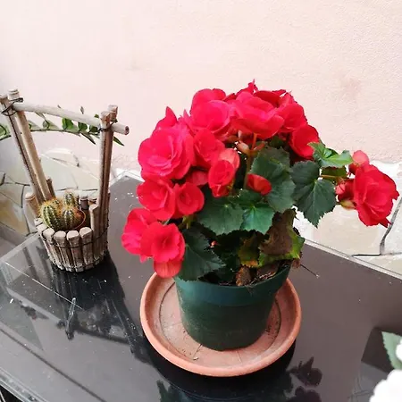 Casa Valeria 4* Catania