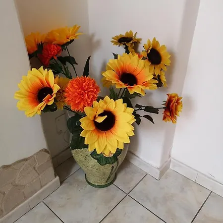 Casa Valeria Bed & Breakfast