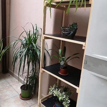 Casa Valeria Bed and breakfast 4*