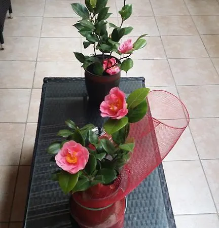 Bed and breakfast Casa Valeria 4*