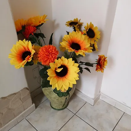 Casa Valeria Bed and breakfast 4*