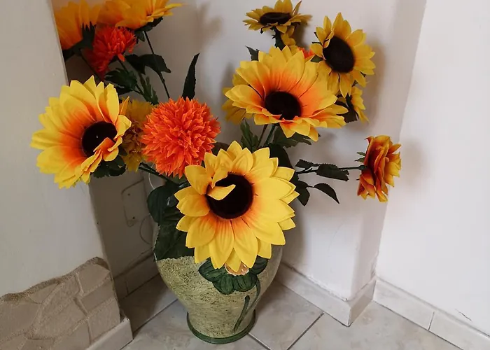 Casa Valeria לינה וארוחת בוקר 4*